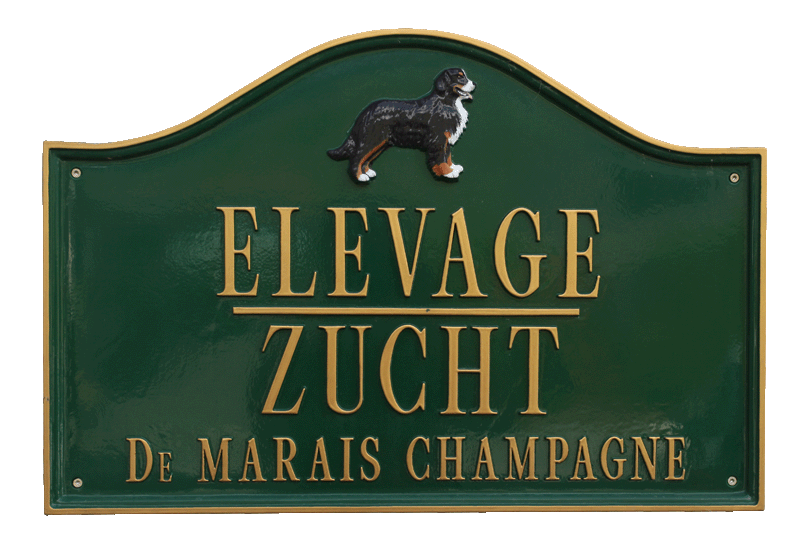Élevage " Marais Champagne "