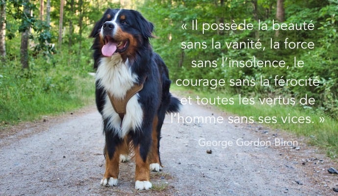 Citation